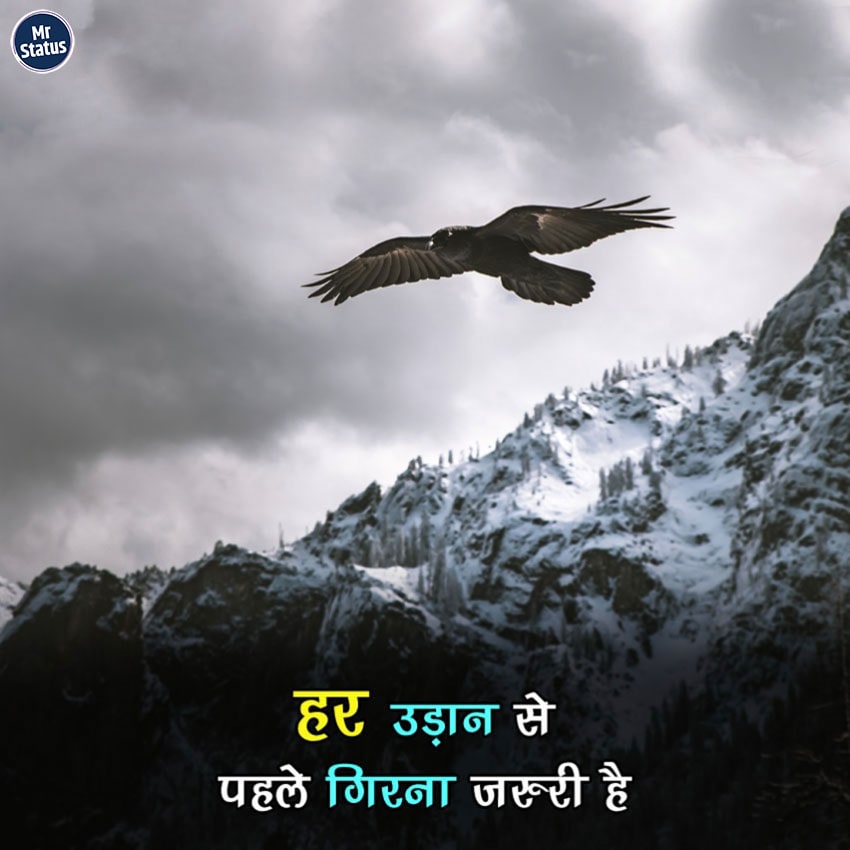 Download free status image