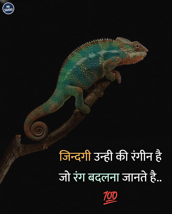 Download free status image